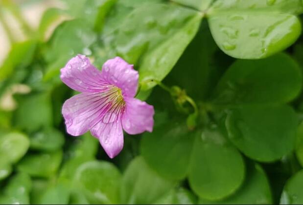 Funda Pansiyon  - Görsel 12