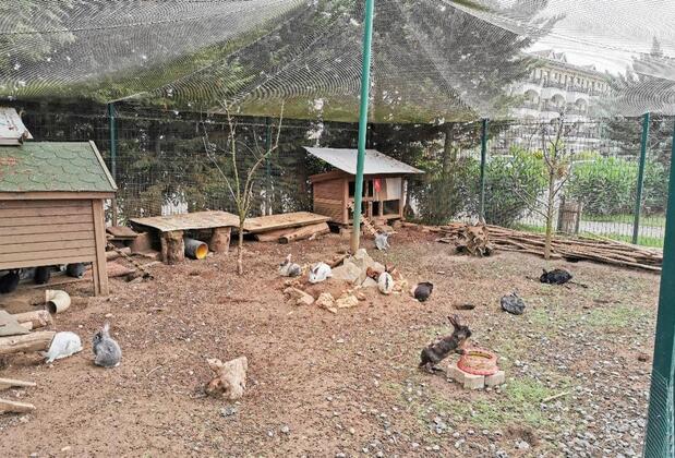 The Sign Şile Hotel & Spa - Görsel 11