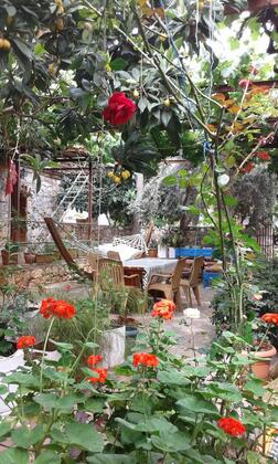 Likya Pansiyon - Görsel 9