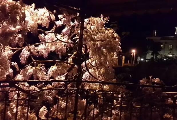 Altay Butik Otel - Görsel 4