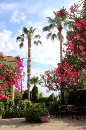 Beyaz Saray Otel Tuzla - Görsel 6
