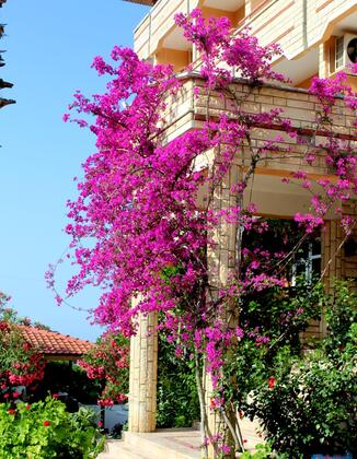 Beyaz Saray Otel Tuzla - Görsel 8