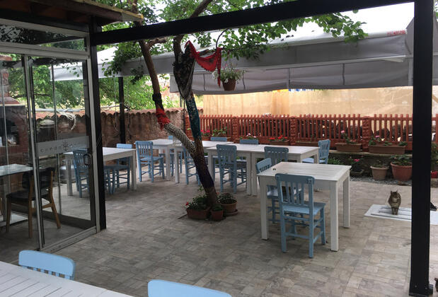Deniz Yıldızı Butik Otel - Görsel 5