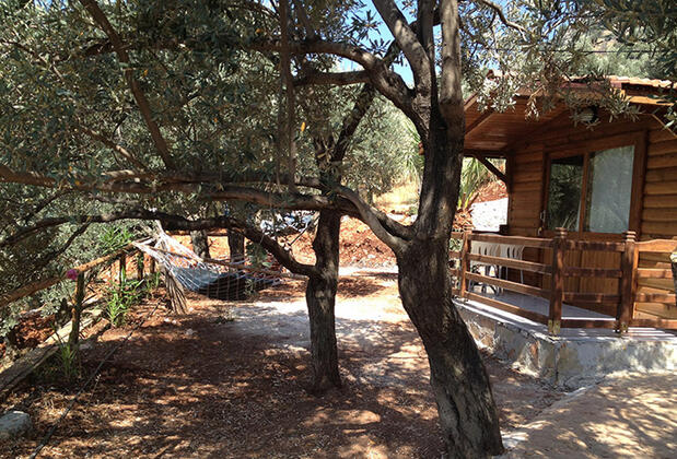 Kaş Olympos Mocamp - Görsel 5