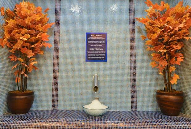 Grand Özgül Termal Otel - Görsel 29