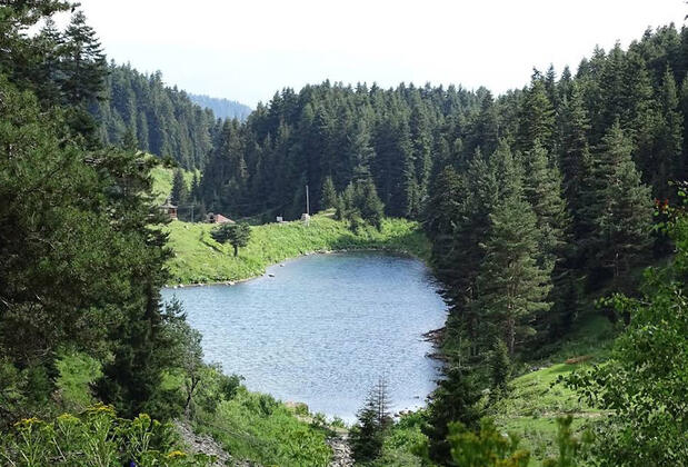 Disharo Yayla Evleri - Görsel 3