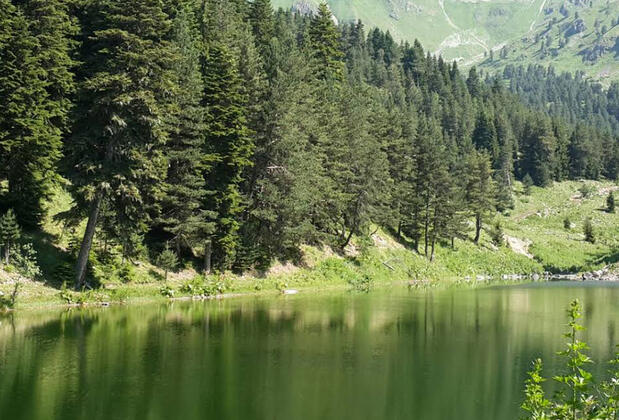 Disharo Yayla Evleri - Görsel 6