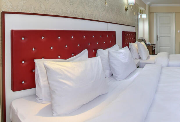 Cihangir Palace Hotel - Görsel 32