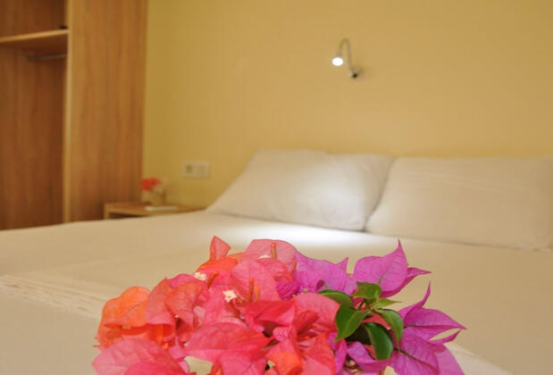 Kekova Koç Pansiyon - Görsel 18