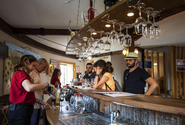 Datça Vineyard Guesthouse - Görsel 12