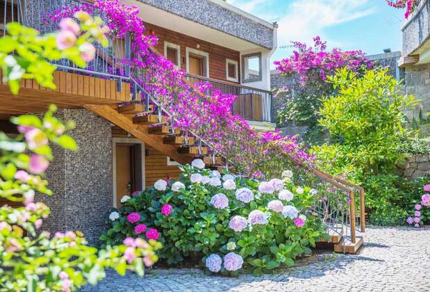 Costa Farilya Special Class Hotel - Görsel 3