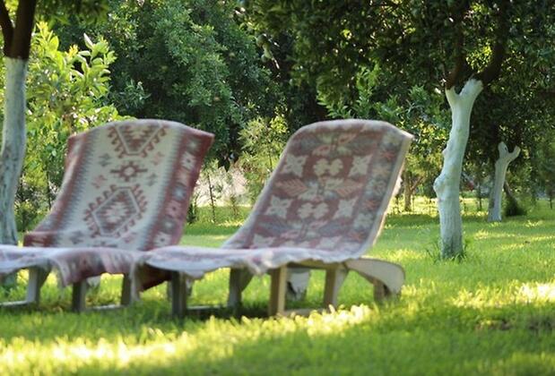 Blue Paradise Pension Çıralı - Görsel 5