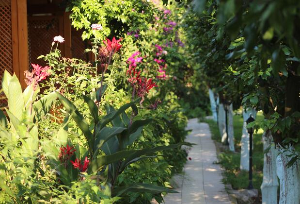 Blue Paradise Pension Çıralı - Görsel 3