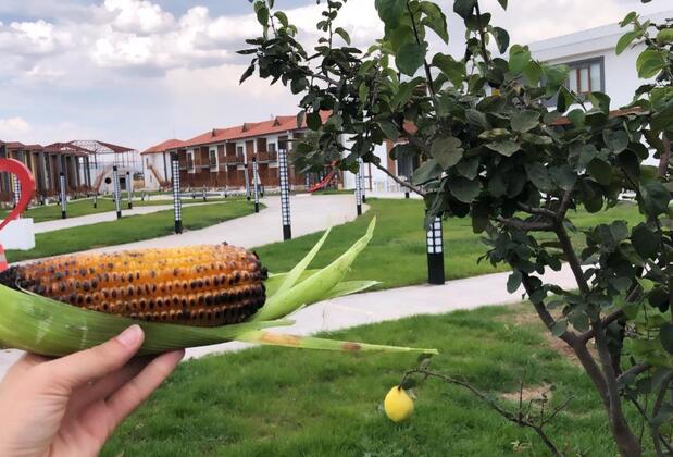 Green Garden House Otel - Görsel 48