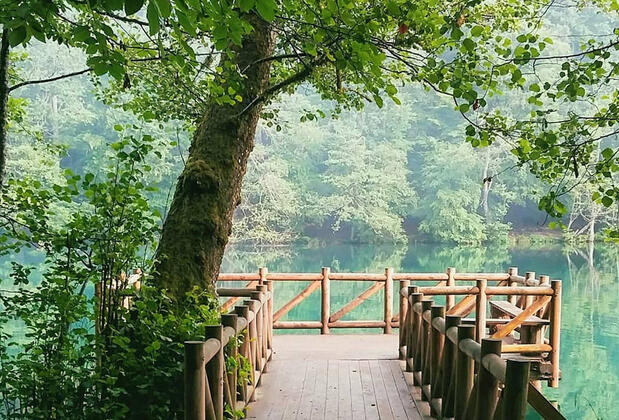 Habitat Mesire - Görsel 11