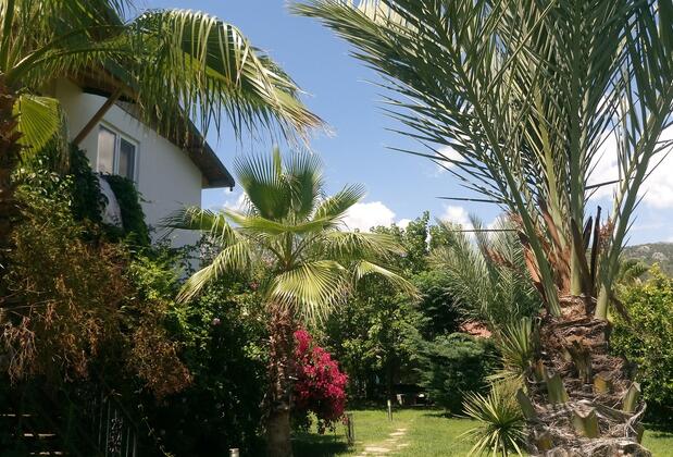 Tunay's Pansiyon - Görsel 12