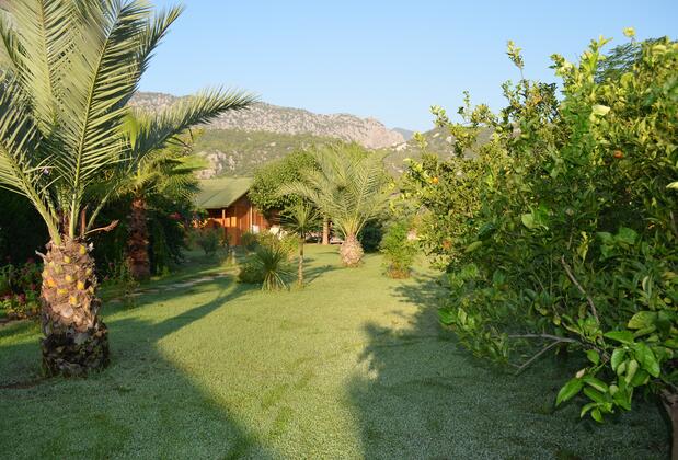 Tunay's Pansiyon - Görsel 6