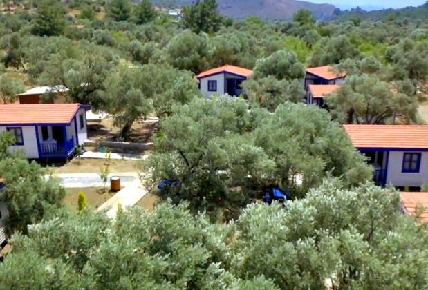 Zeytinli Bahçe Ahşap Evleri - Görsel 2