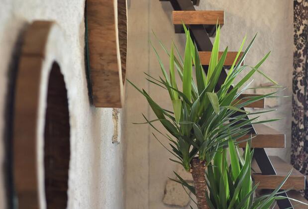 Alaçatı Aura Hotel - Görsel 9