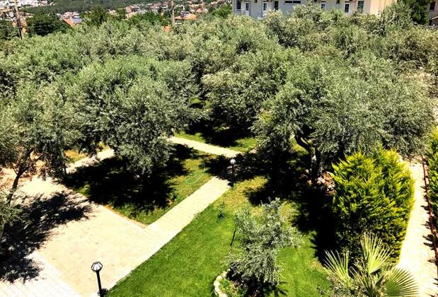 Doğa Hotel Ölüdeniz - Görsel 3