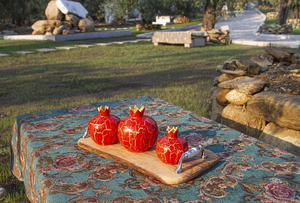 Yiva Otel Kazdağları - Görsel 16