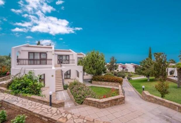 The Olive Tree - Görsel 4