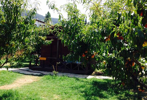 Salkım Konak ve Ağaç Evler - Görsel 5