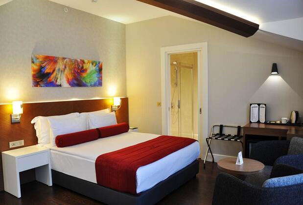 Veyron Hotels & SPA İstanbul - Görsel 31