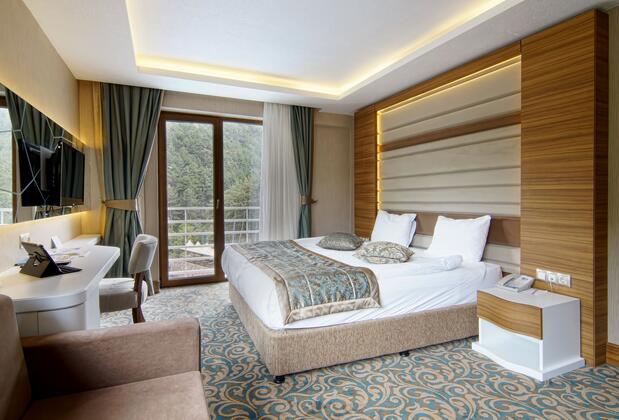 Çam Termal Resort & Spa Hotel - Görsel 3