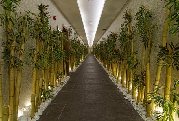 Çam Termal Resort & Spa Hotel - Görsel 6