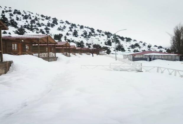 Eylül Bungalow Kahramanmaraş - Görsel 9