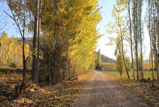 Eylül Bungalow Kahramanmaraş - Görsel 15