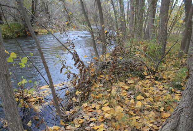 Eylül Bungalow Kahramanmaraş - Görsel 16