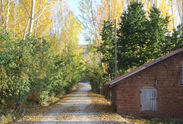 Eylül Bungalow Kahramanmaraş - Görsel 17