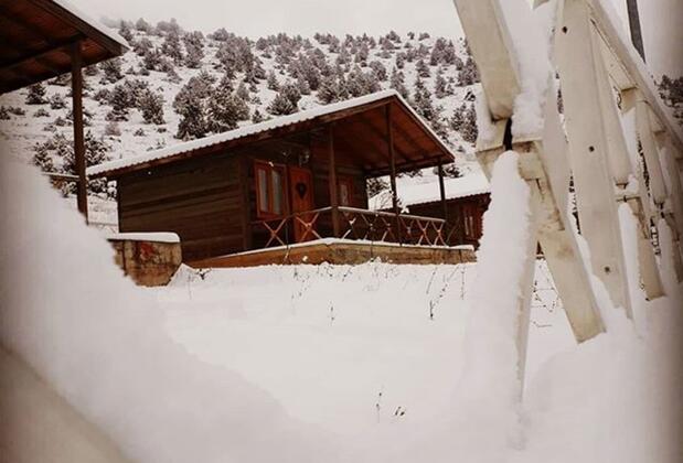 Eylül Bungalow Kahramanmaraş - Görsel 21