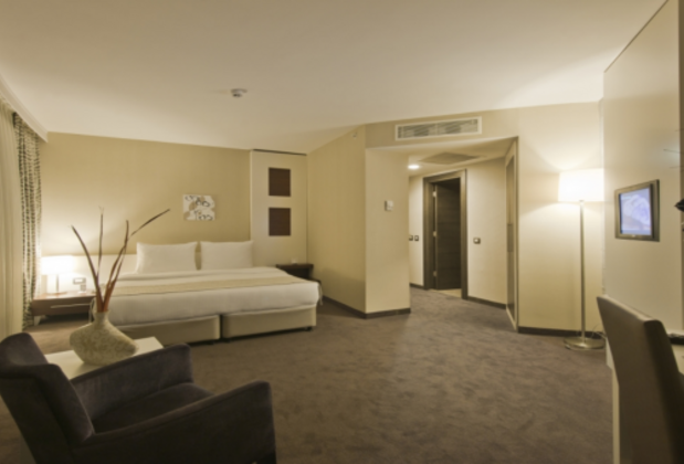 Dedepark Hotel Eskişehir - Görsel 13