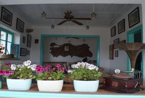 Cunda Mavi Otel - Görsel 4