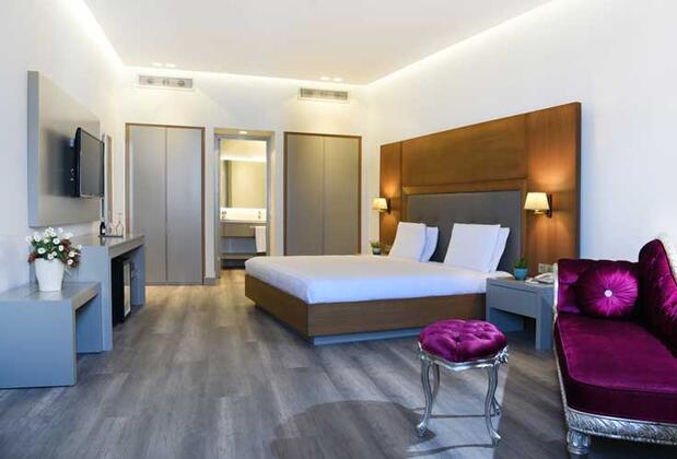 Temenos Luxury Hotel & Spa - Görsel 17