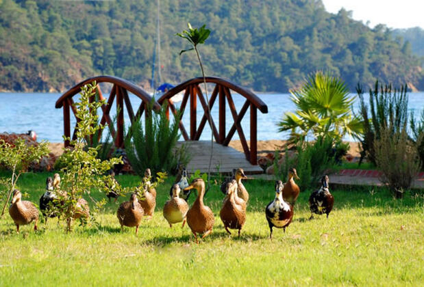 The Bay Beach Club - Görsel 18