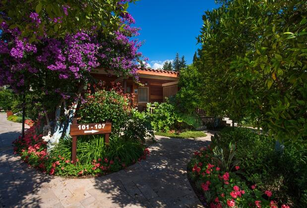 Kimera Lounge Hotel - Görsel 4