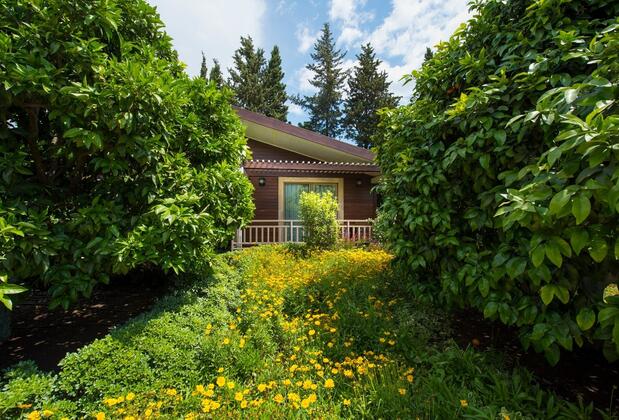 Kimera Lounge Hotel - Görsel 35