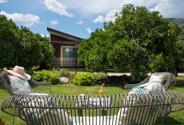 Kimera Lounge Hotel - Görsel 16