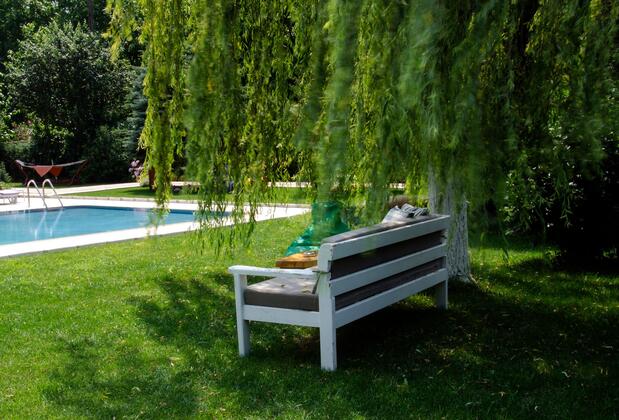 The Red Witch Boutique Hotel - Görsel 13