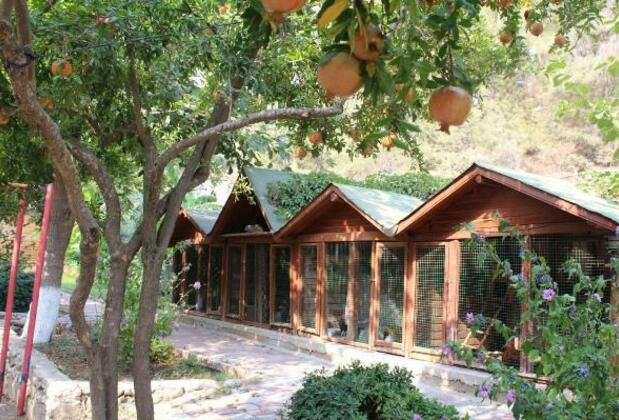 Oranj Ranch Hotel - Görsel 15