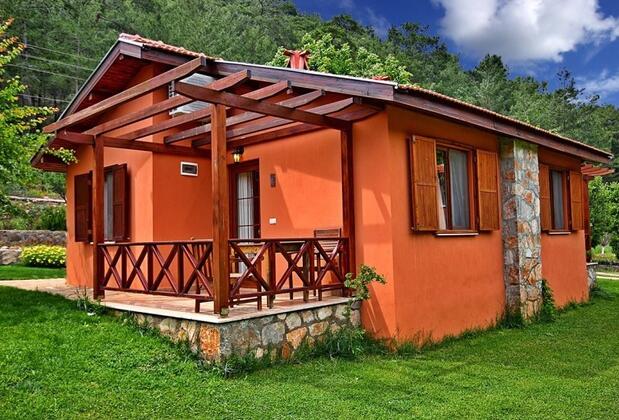 Dalya Life Retreat - Görsel 4