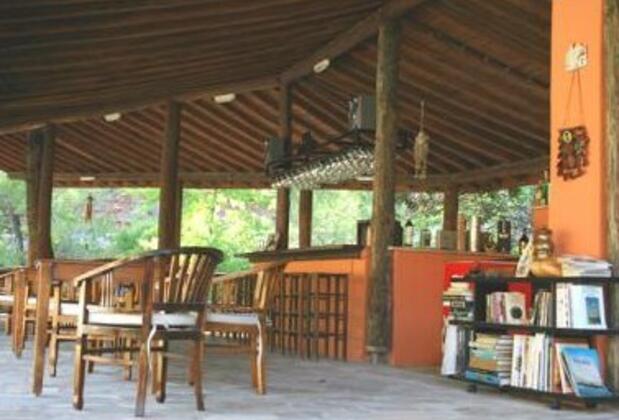 Dalya Life Retreat - Görsel 8