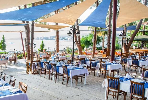 Lonicera World - Görsel 11