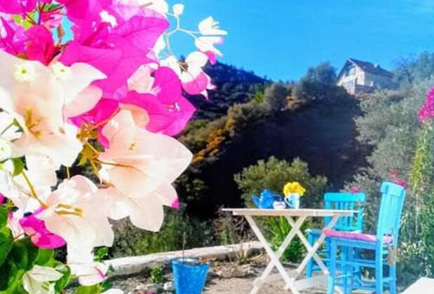 Mavi Kelebek Butik Otel - Görsel 3