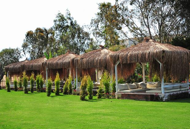 Tiana Beach Resort - Görsel 15