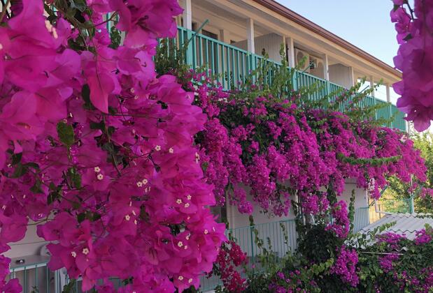 Evin Pension - Görsel 3